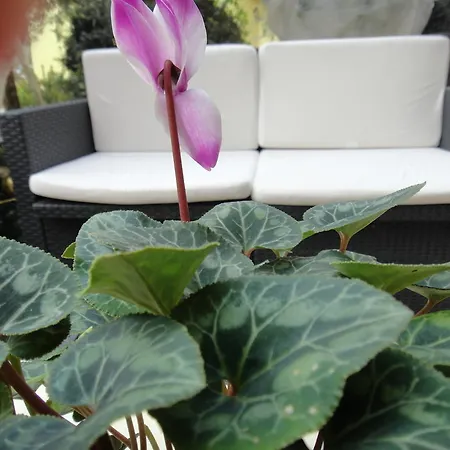 Residenza Cieloterra